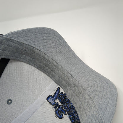 T&R Transportation Marsing Idaho Snapback Trucker Hat Gray OS Mesh Richardson