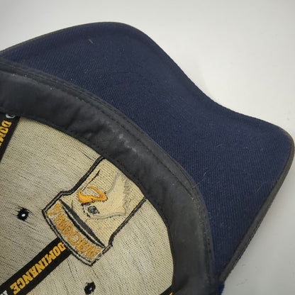 Rapid Dominance 101st Airborne Screaming Eagles Blue Baseball Cap One Size Hat