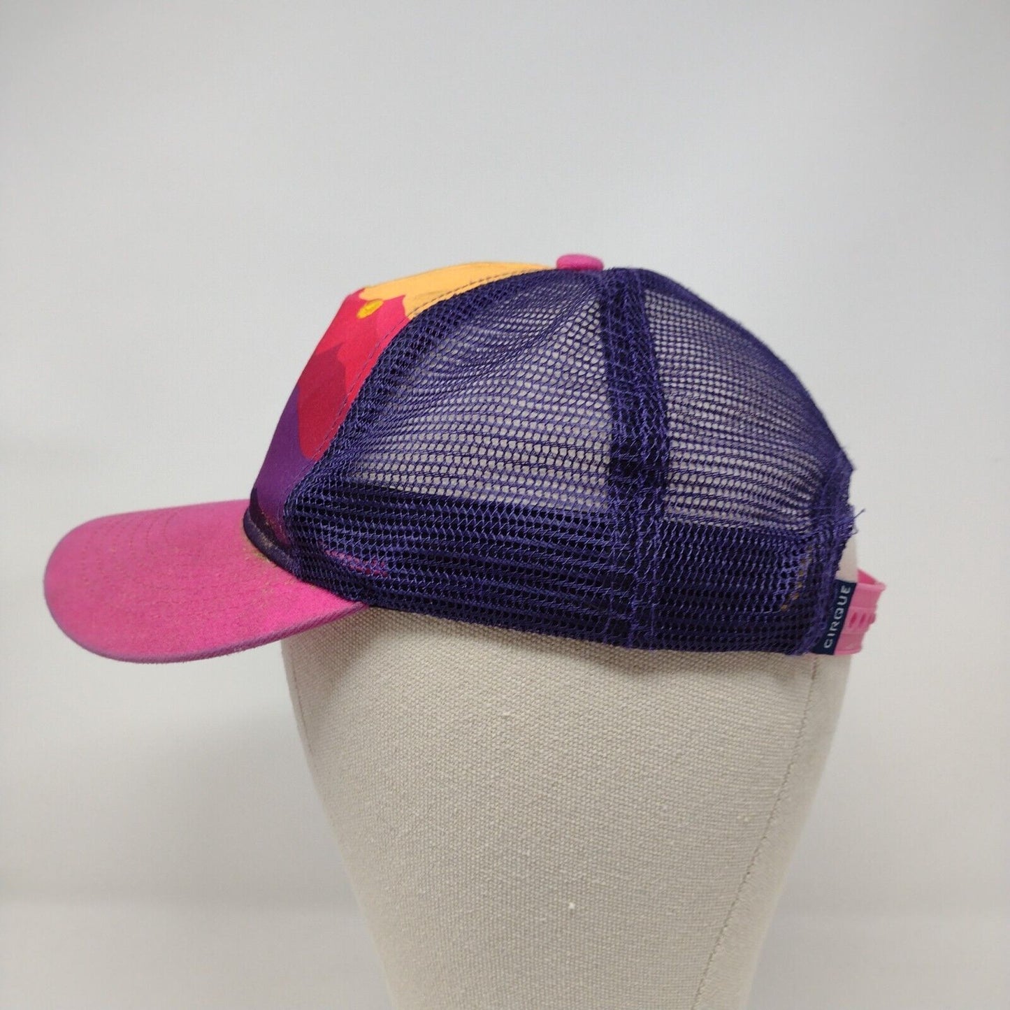 Snowbird Mountain Snapback Mesh Back Trucker Hat Multi One Size