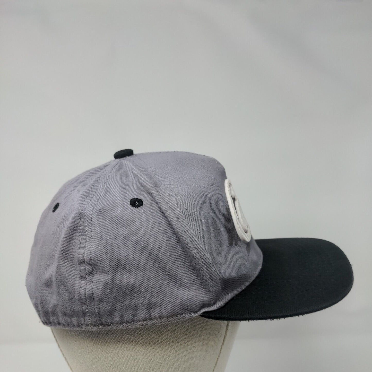 Cali Bear Snapback Hat Gray One Size Adjustable Colorblock Ace Cap Inc