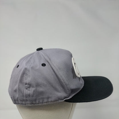 Cali Bear Snapback Hat Gray One Size Adjustable Colorblock Ace Cap Inc