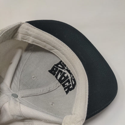 Black Panther Snapback Hat Multicolor OSFM Adjustable Embroidered Marvel