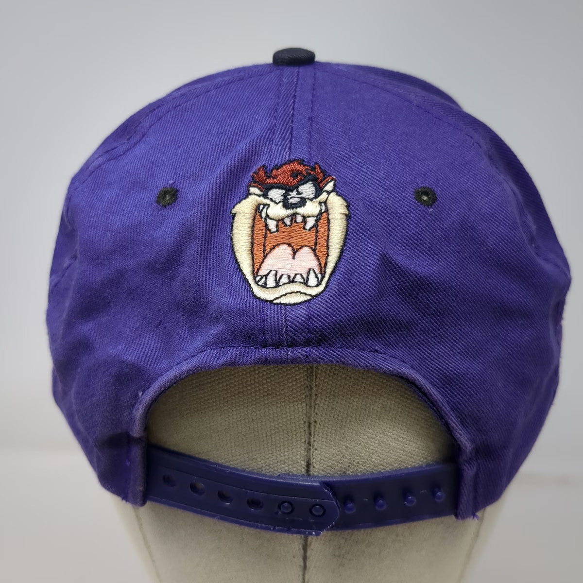Purple Snapback Hat Tasmanian Devil Taz Character Green Underbrim Vintage