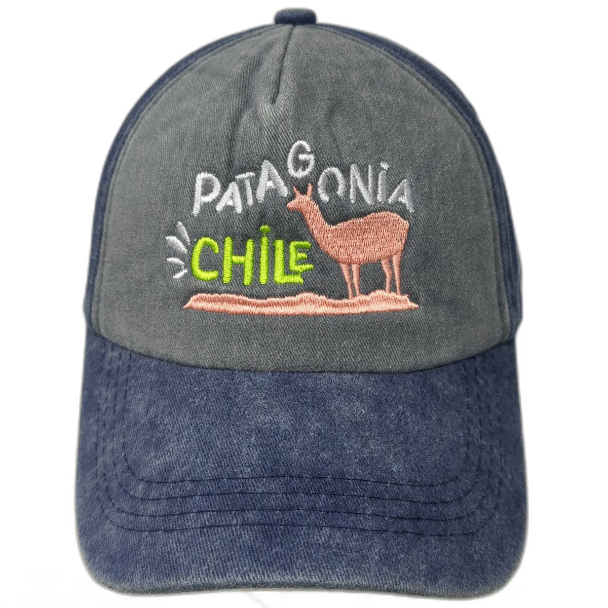 Patagonia Souvenirs Baseball Cap Blue One Size Chile Guanaco Adventure Hat