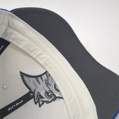 Godfrey Timberwolves Fitted Baseball Cap Blue Medium Embroidered Richardson