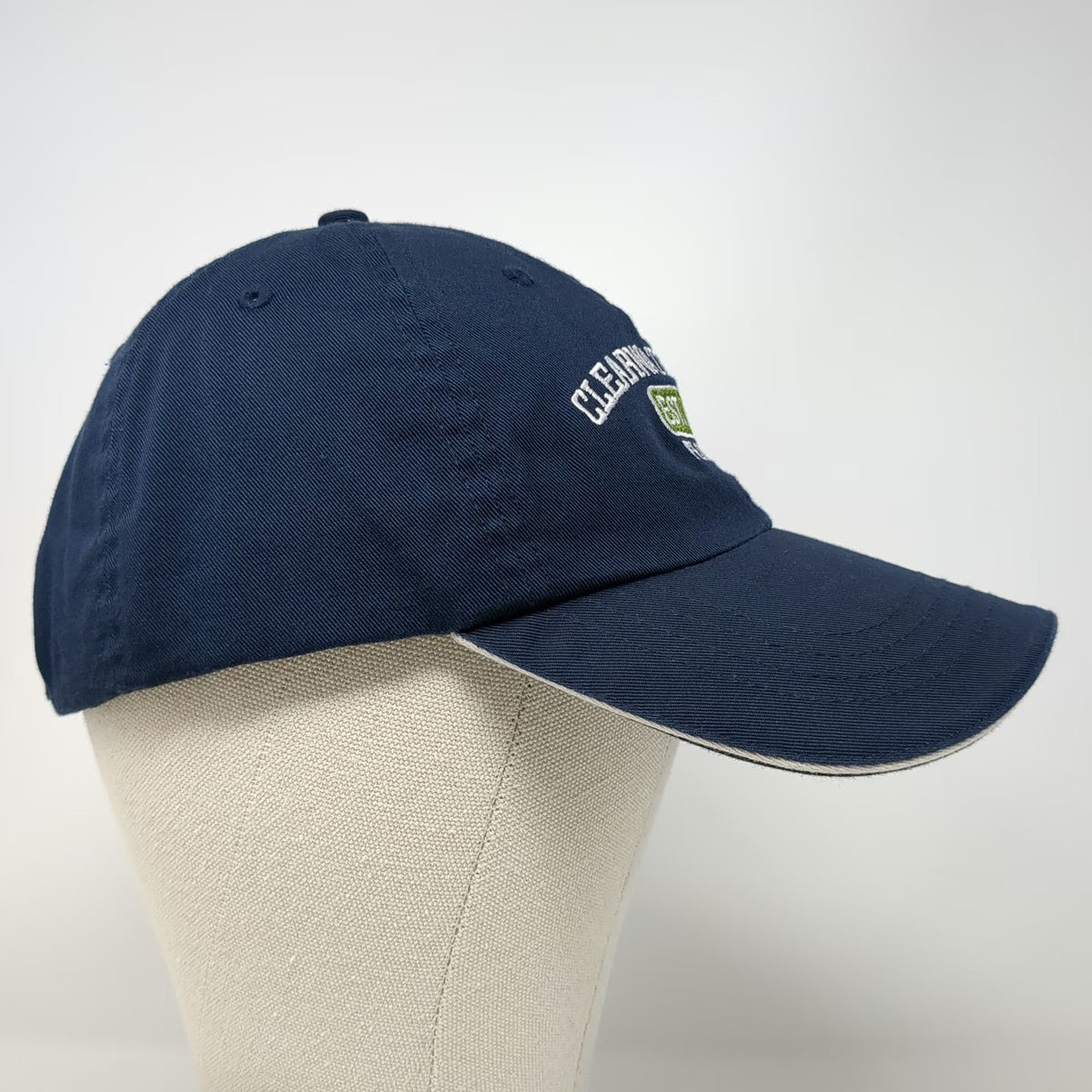 Wings Baseball Cap Blue One Size Clearwater Beach Florida EST 1897 Strapback Hat