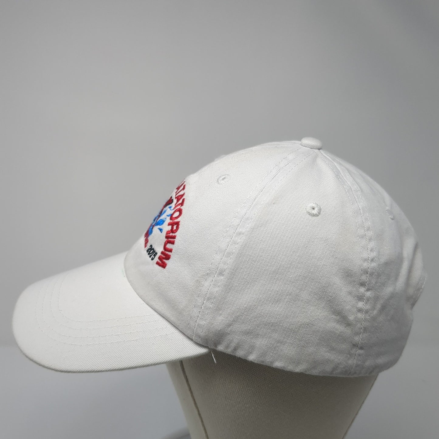 Walker Natatorium Kirkwood Est 2015 Baseball Cap White OS Adjustable Cap America