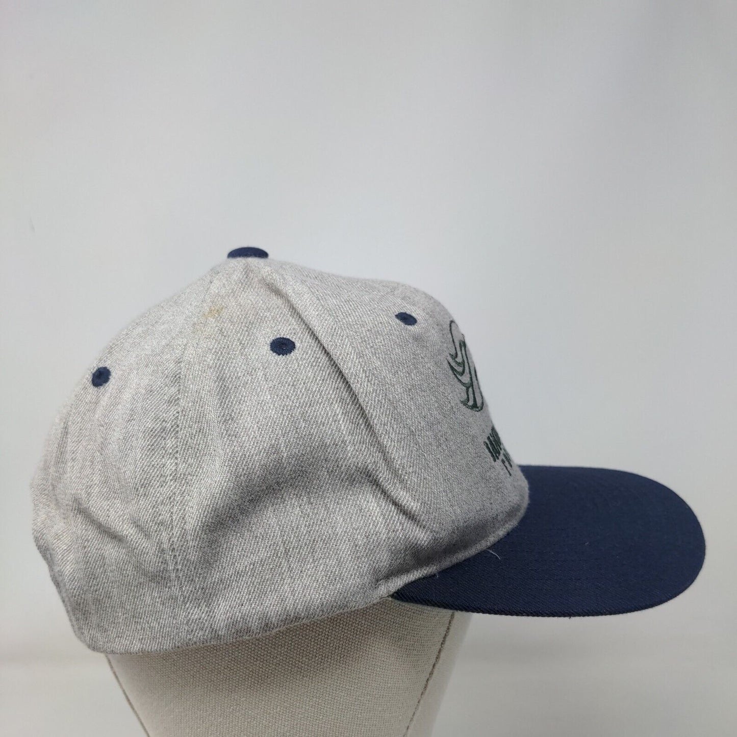 Damonte Ranch Football Snapback Hat Multicolor OSFA Adjustable Embroidered