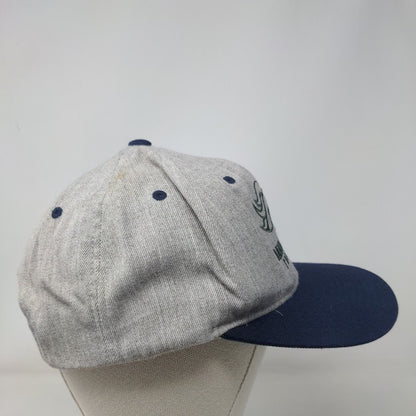 Damonte Ranch Football Snapback Hat Multicolor OSFA Adjustable Embroidered