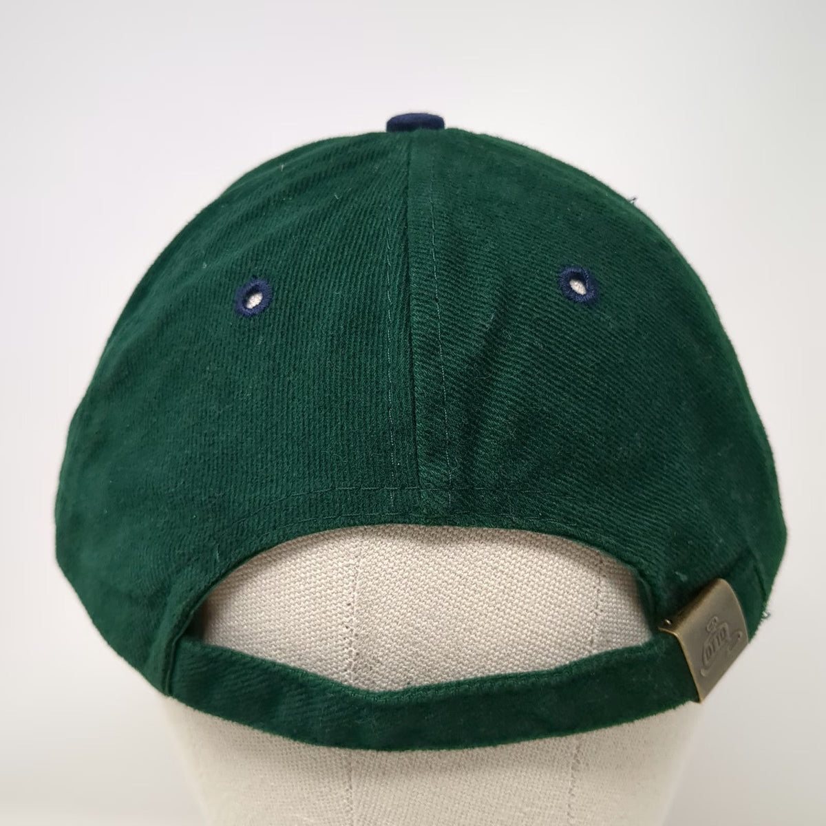 Otto Baseball Cap Green Blue OSFM Tillamook Public Power People's Utility hat