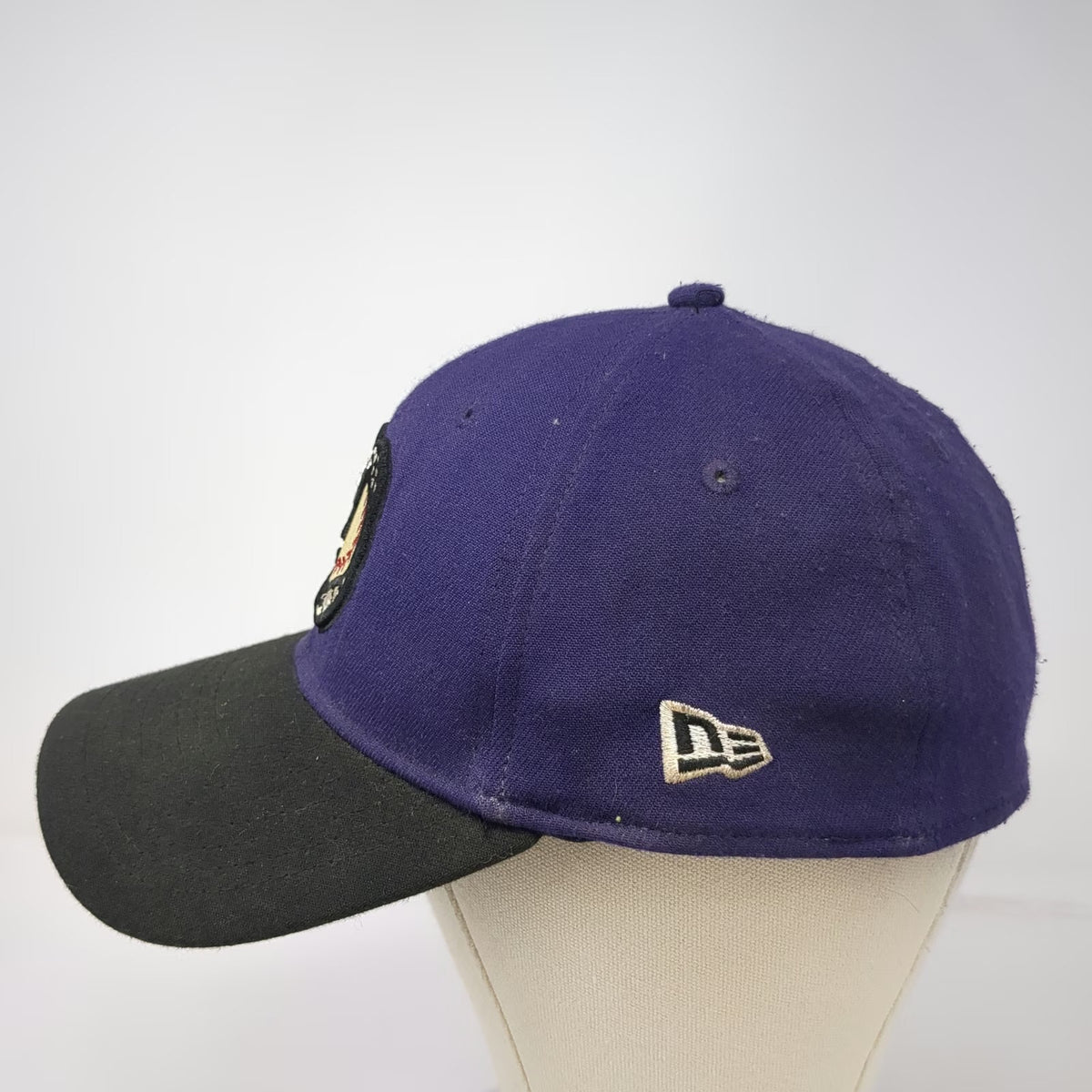 Boise Hawks MiLB New Era Cap Purple L 39THIRTY Stretch Curved Hat