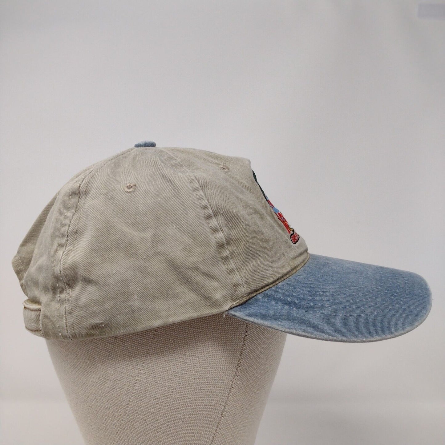 Ruby Mountain Brewing Company Strapback Hat Multi OSFA Colorblock Otto