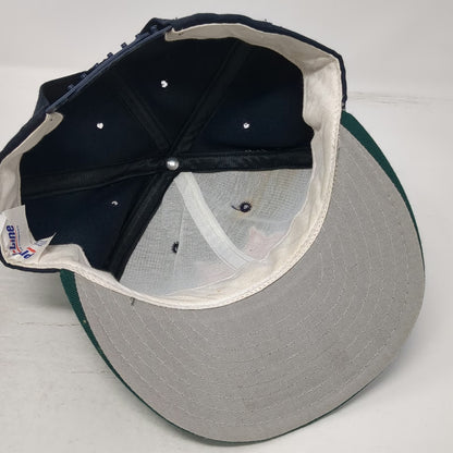 Pro-Line Snapback Blue Green One Size Wildcat Mascot Hat Made in USA Two-Tone