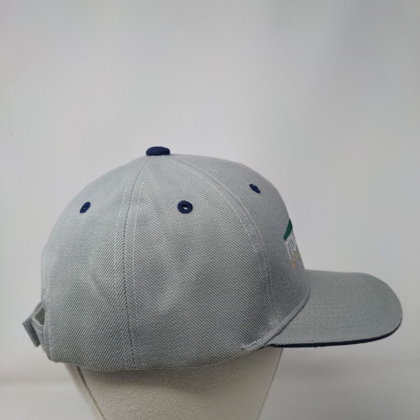 Pto. Vallarta Mexico Strapback Hat Gray One Size Embroidered 6 Panel