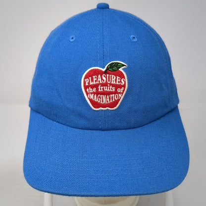 Pleasures Snapback Blue One Size Fruits of Imagination Apple Wool Blend Hat
