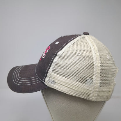 Mountain Trucker Hat Gray Pink White One Size Lake Powell Glen Canyon Snapback
