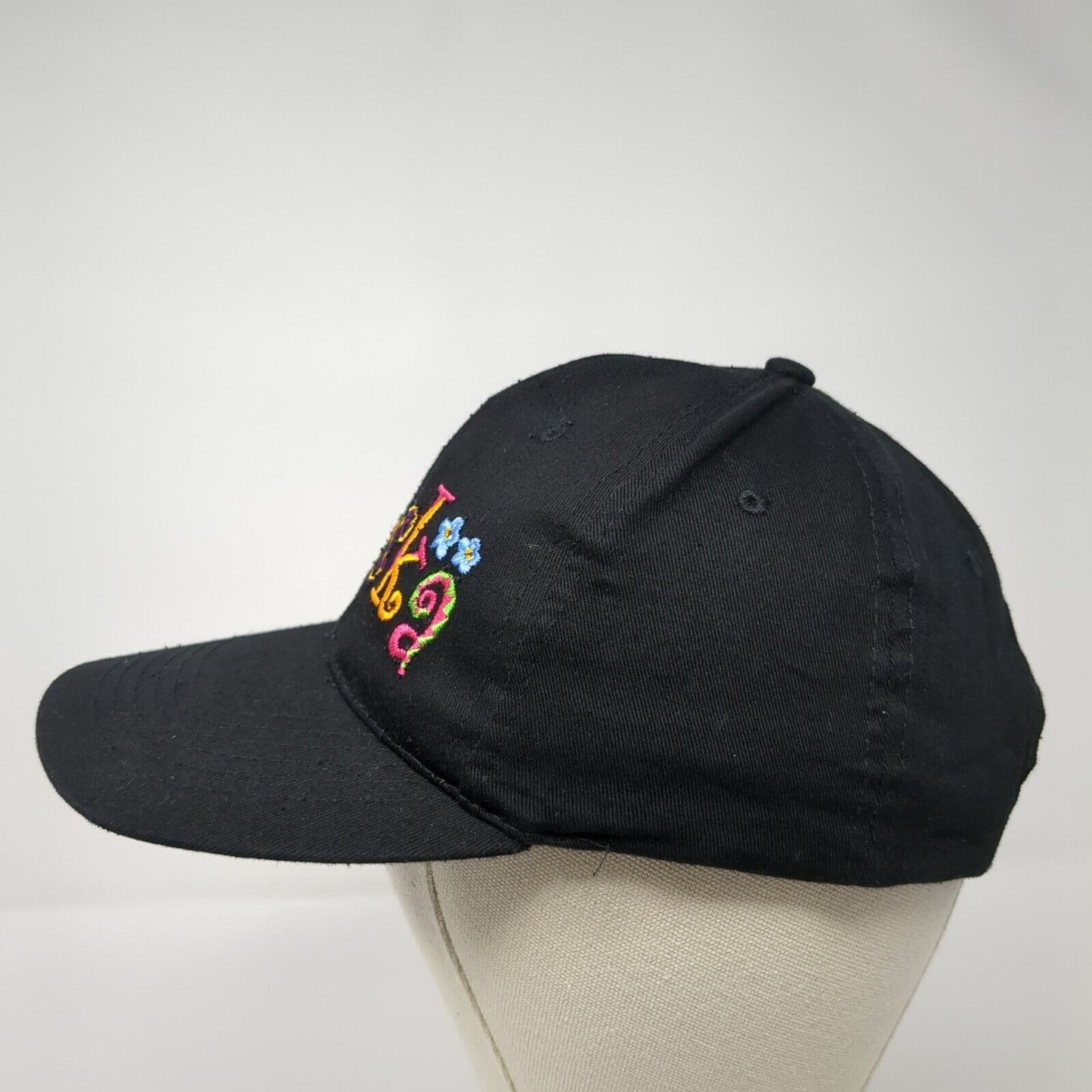 Alaska Strapback Hat Black One Size Adjustable Embroidered 6 Panel