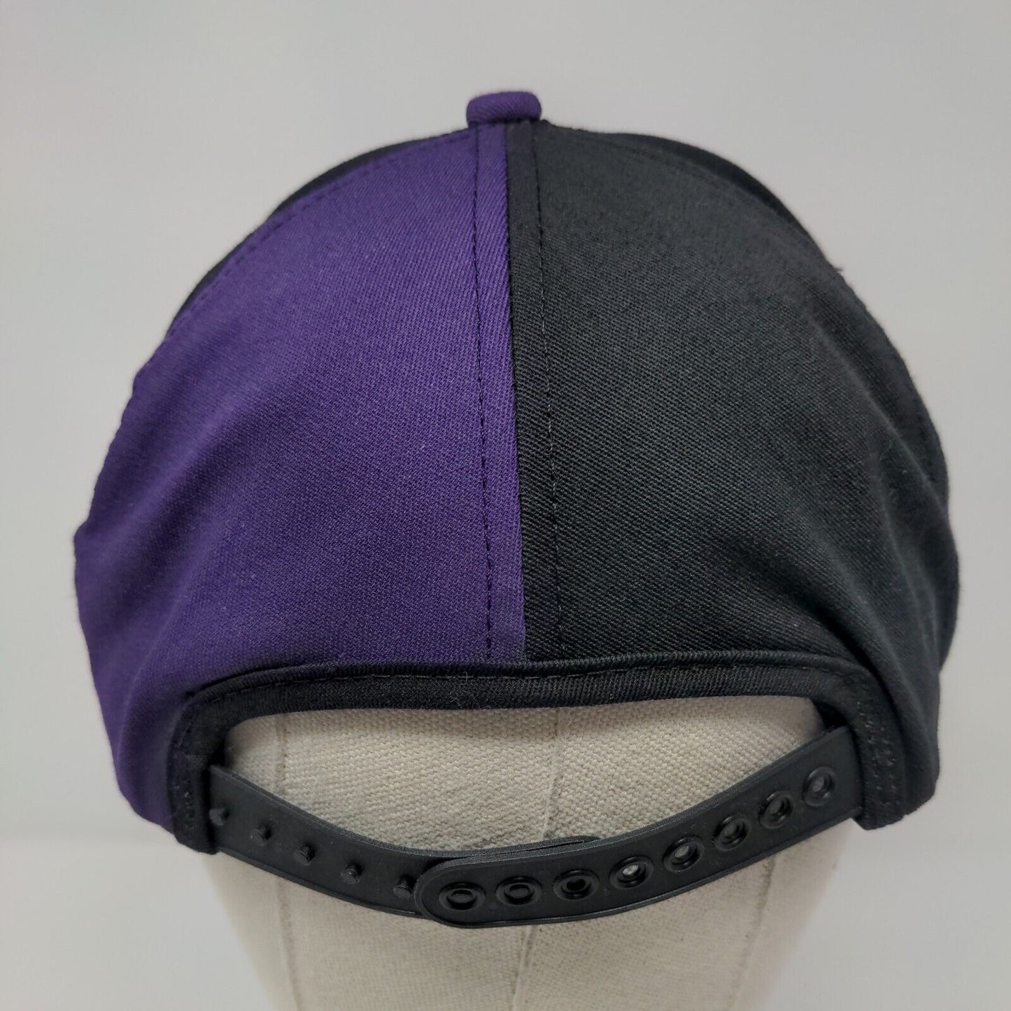 Hilleshoe Sandoz Seeds Snapback Hat Multicolor OSFA Adjustable Embroidered