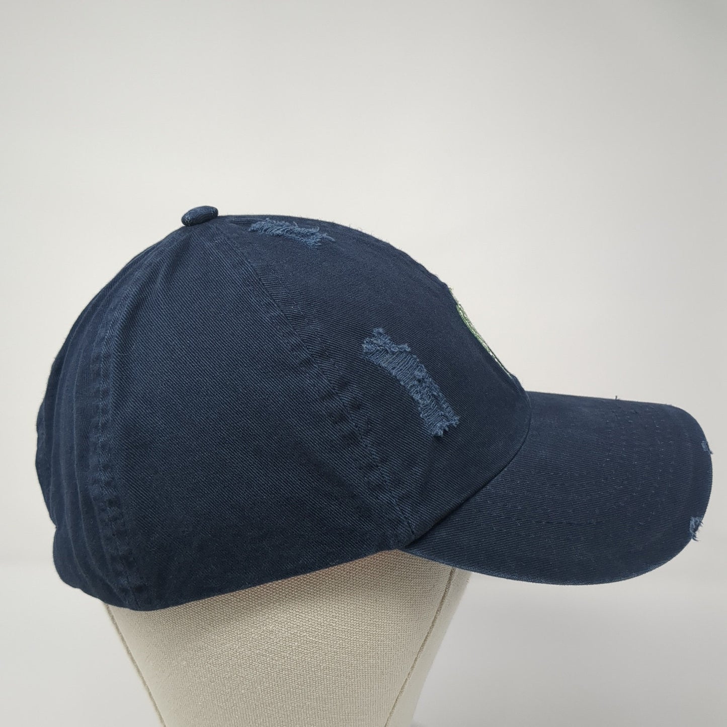 Cactus Slideback Baseball Cap Blue One Size Adjustable Embroidered Distressed