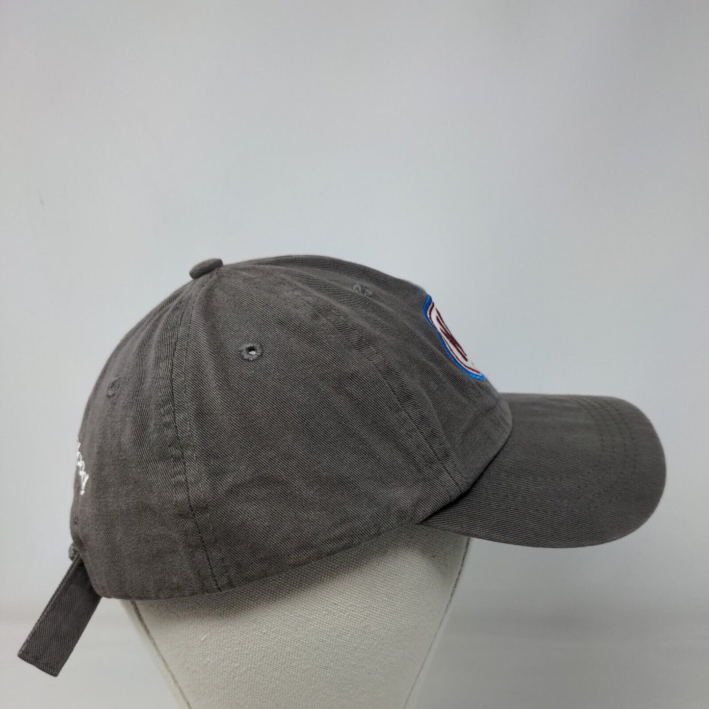Hero Slideback Hat Gray One Size Embroidered I Am One Blood 6 Panel
