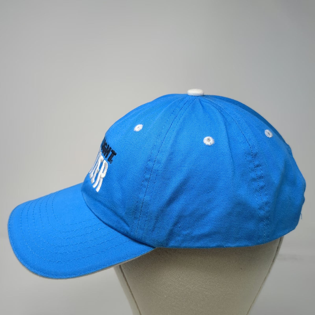 Bud Light Seltzer Snapback Hat Blue One Size Sandwich Bill Embroidered Logo