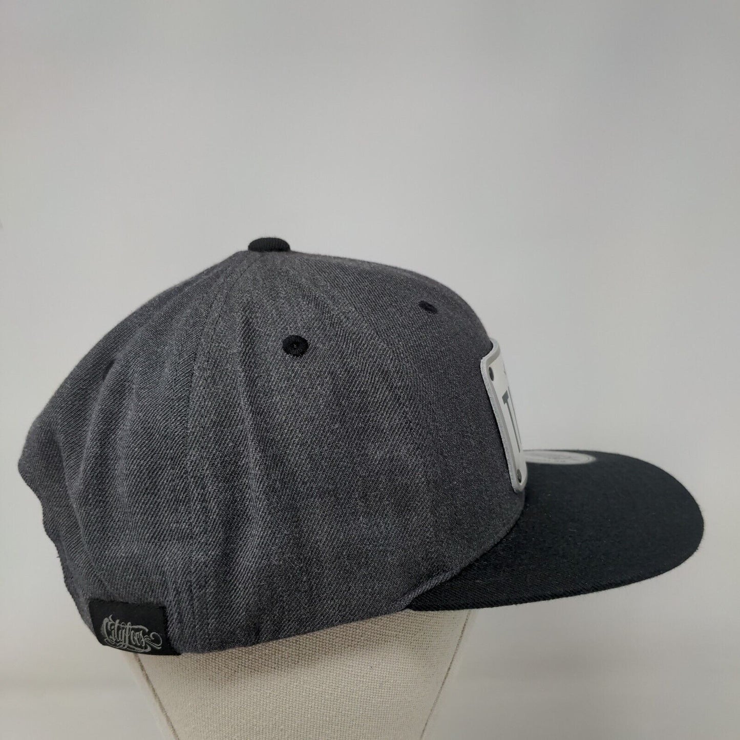 The Fam Sunshine State Snapback Hat Gray One Size Colorblock CityLocs