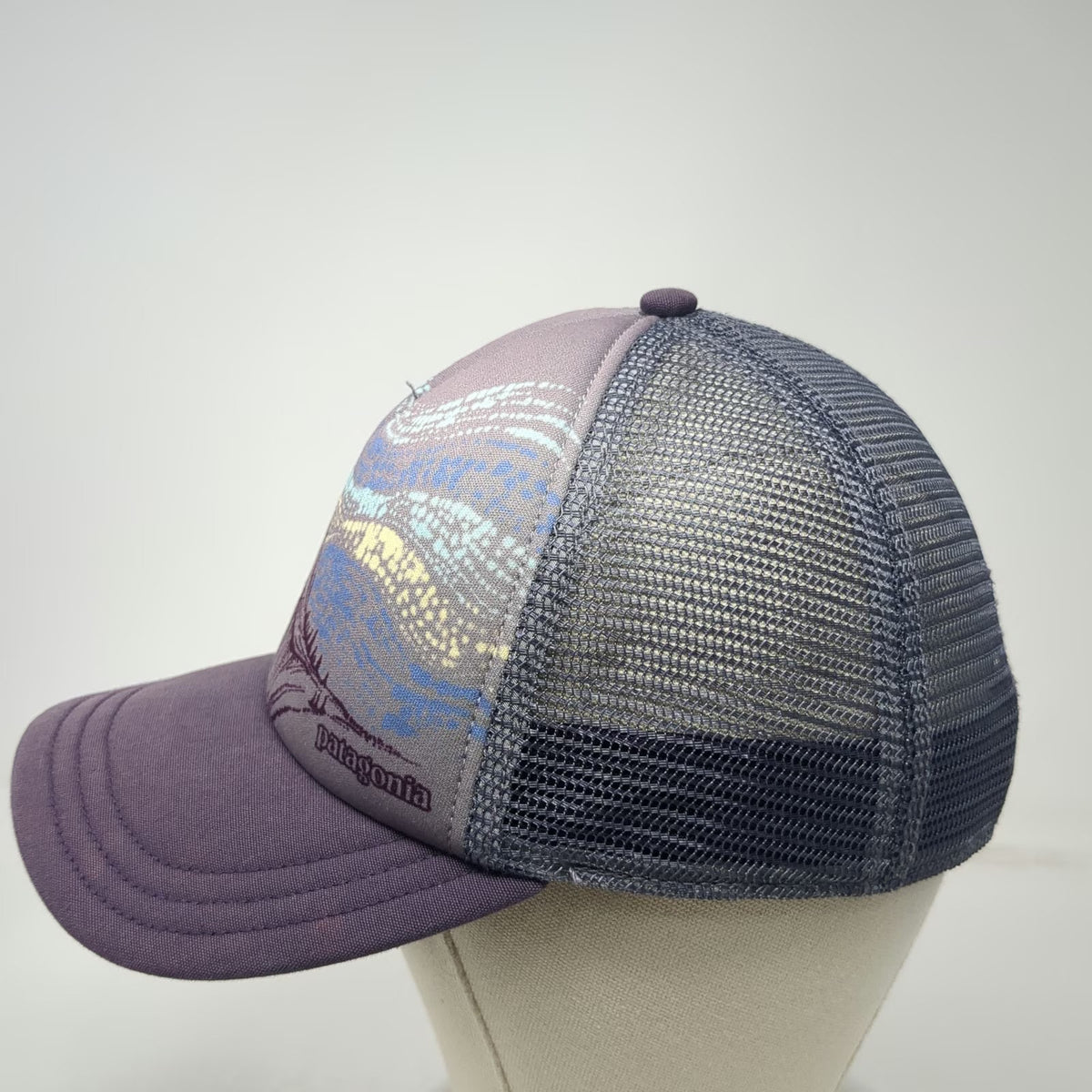 Patagonia Trucker Hat Purple One Size Half Dome Yosemite Graphic Snapback hat