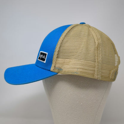 bigtruck Trucker Hat Blue OSFM Snapback Northern Nevada Dental Health Golf hat