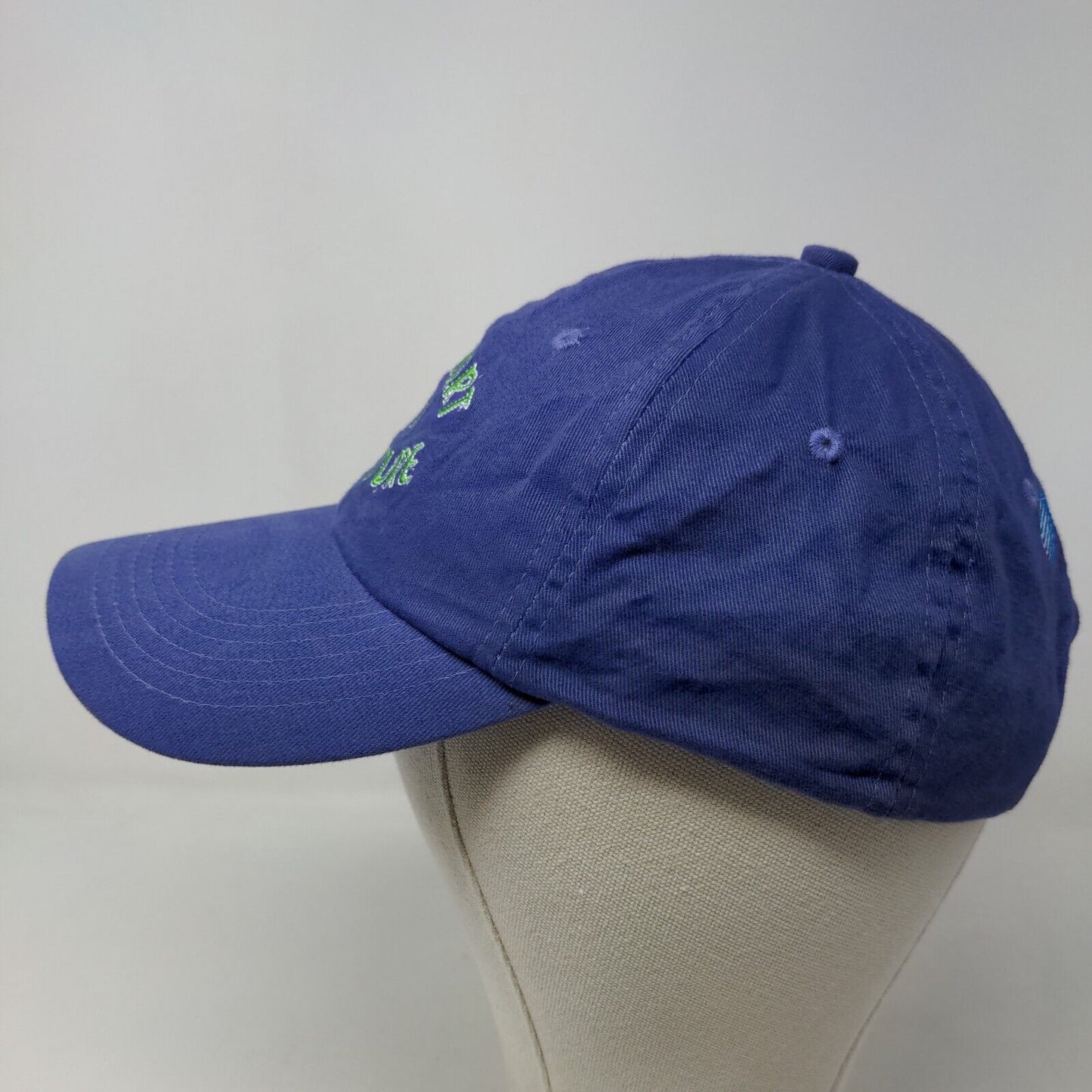 AT&T Broadband Men's Slideback Hat Purple Passport to Adventure 2002 Vintage