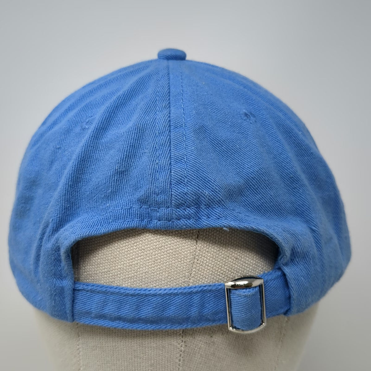 Promotional Sales Group Werner Ladder Lowes Blue One Size Baseball Cap Hat Strap