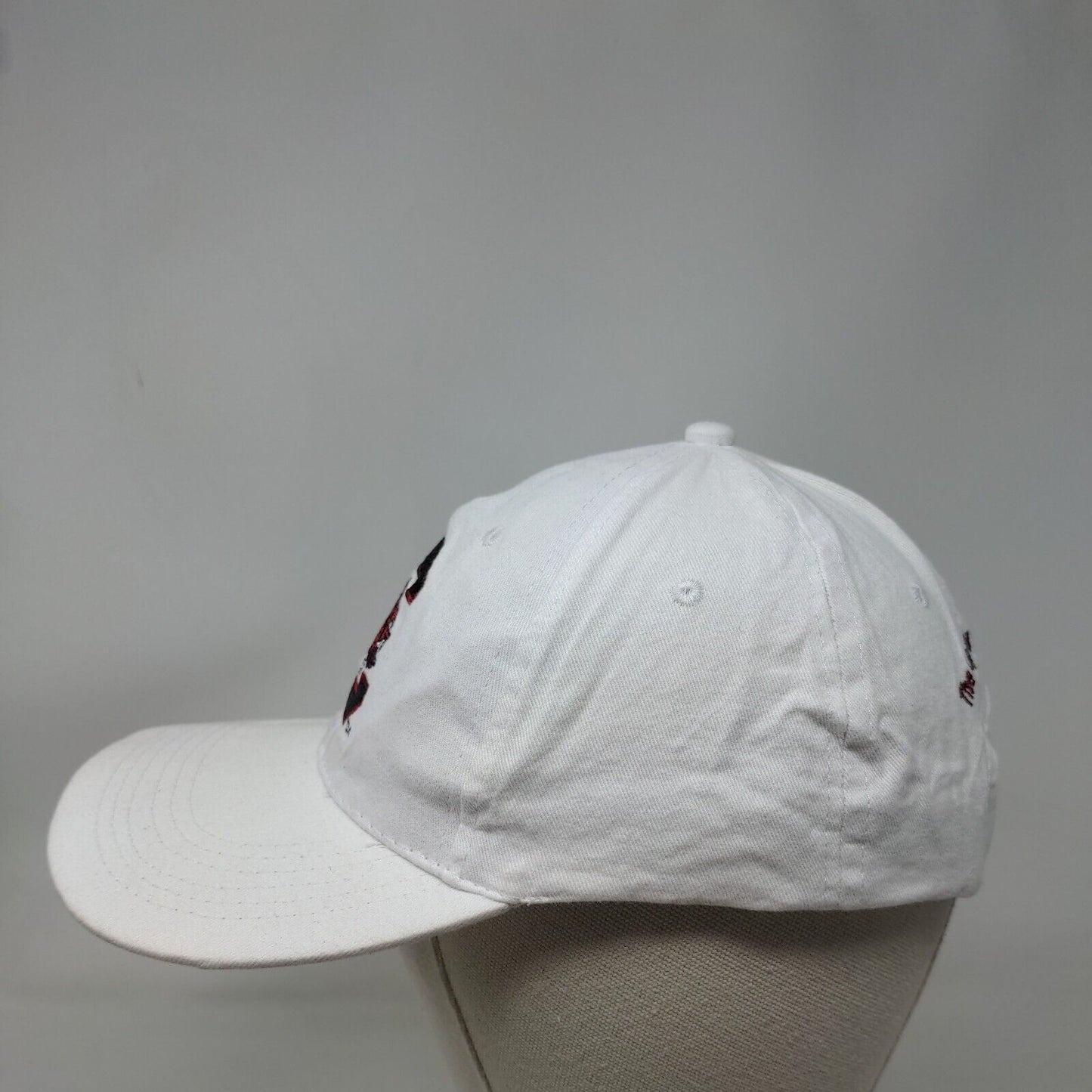 South Carolina Gamecocks Strapback Hat White Embroidered Logo Sound Experience