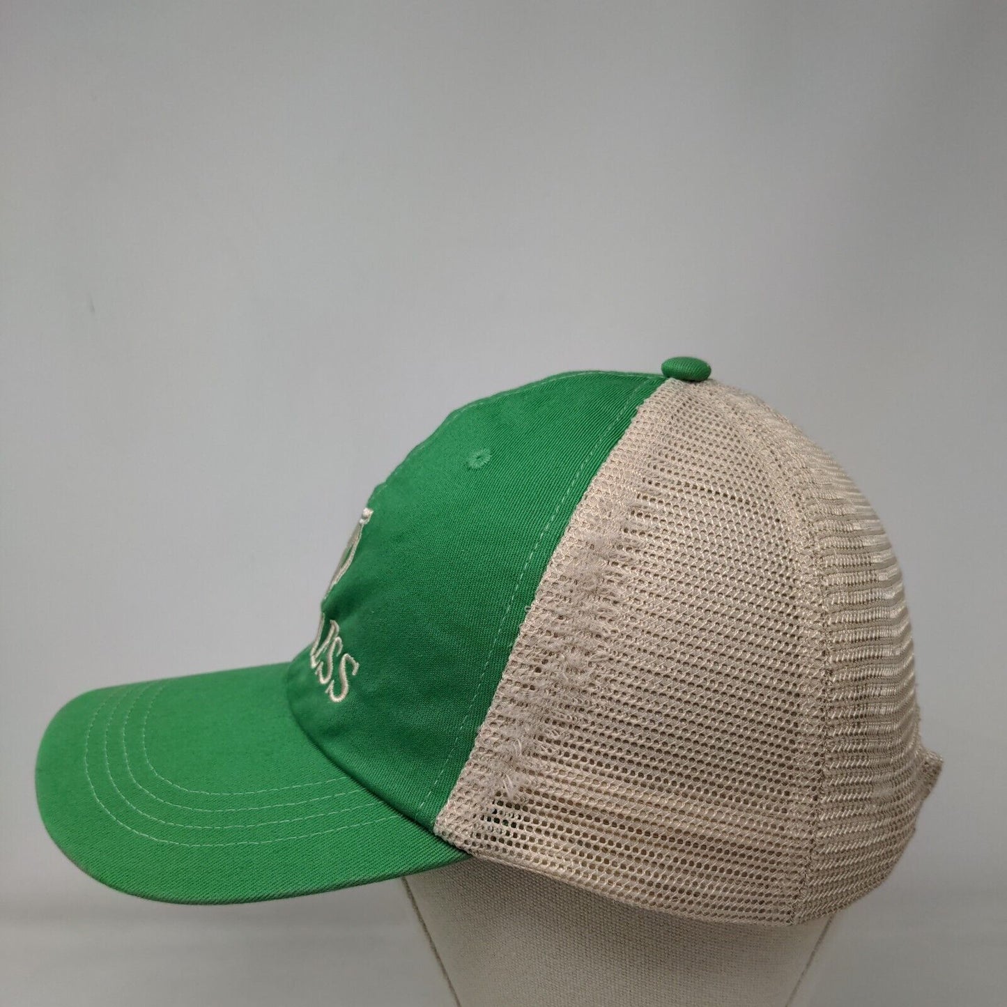Guinness Snapback Mesh Back Trucker Hat Multi One Size Colorblock