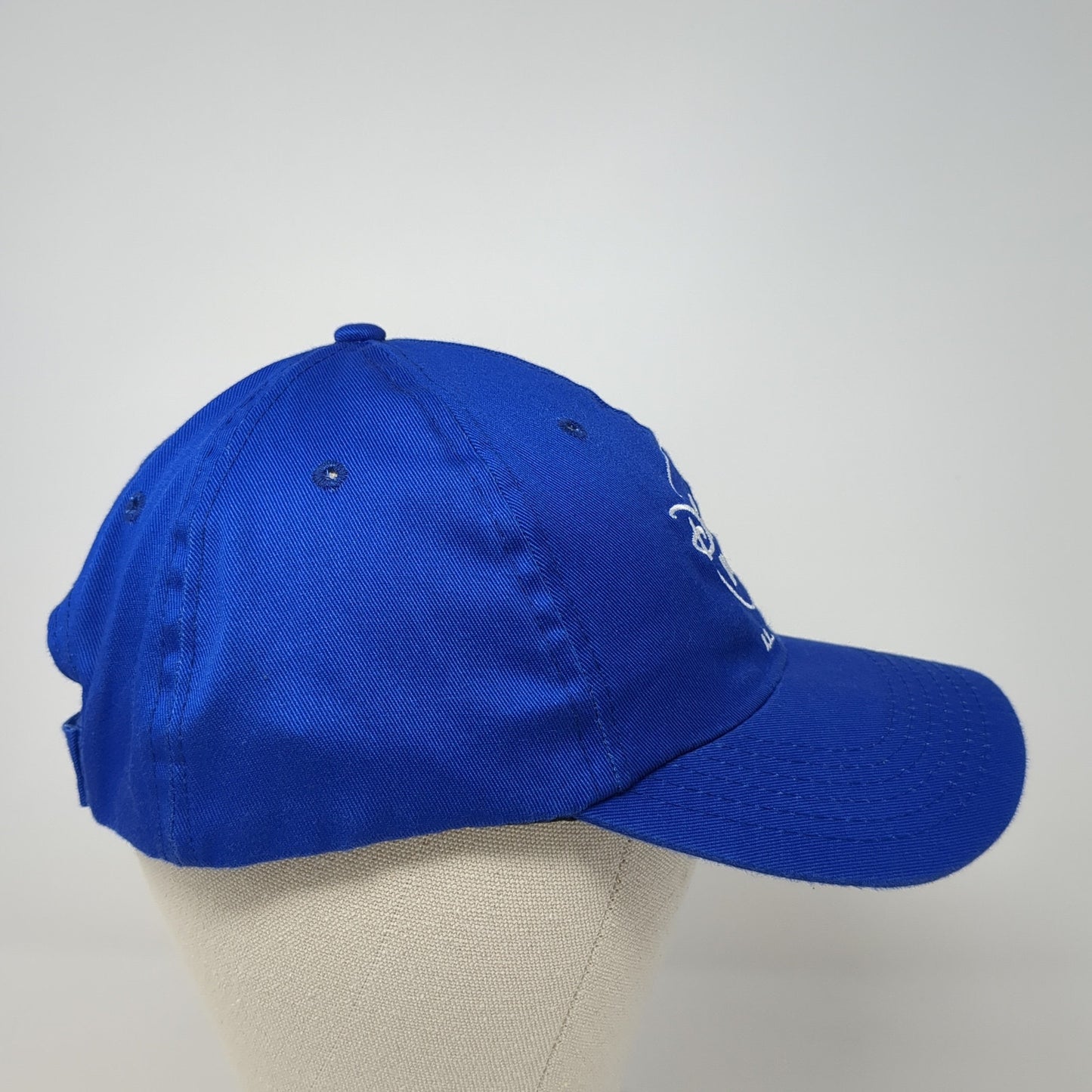 Disney+ Day 11.12.21 Strapback Hat Blue One Size Adjustable Embroidered
