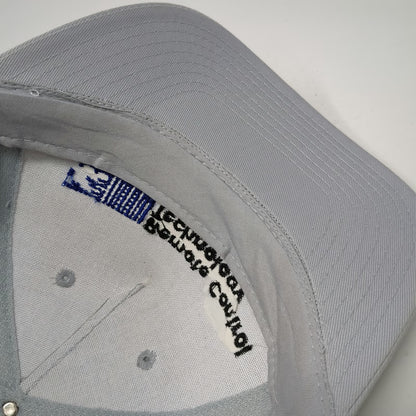 Value Caps 5 Panel Gray One Size Rope Snapback Remote Control Technology Hat