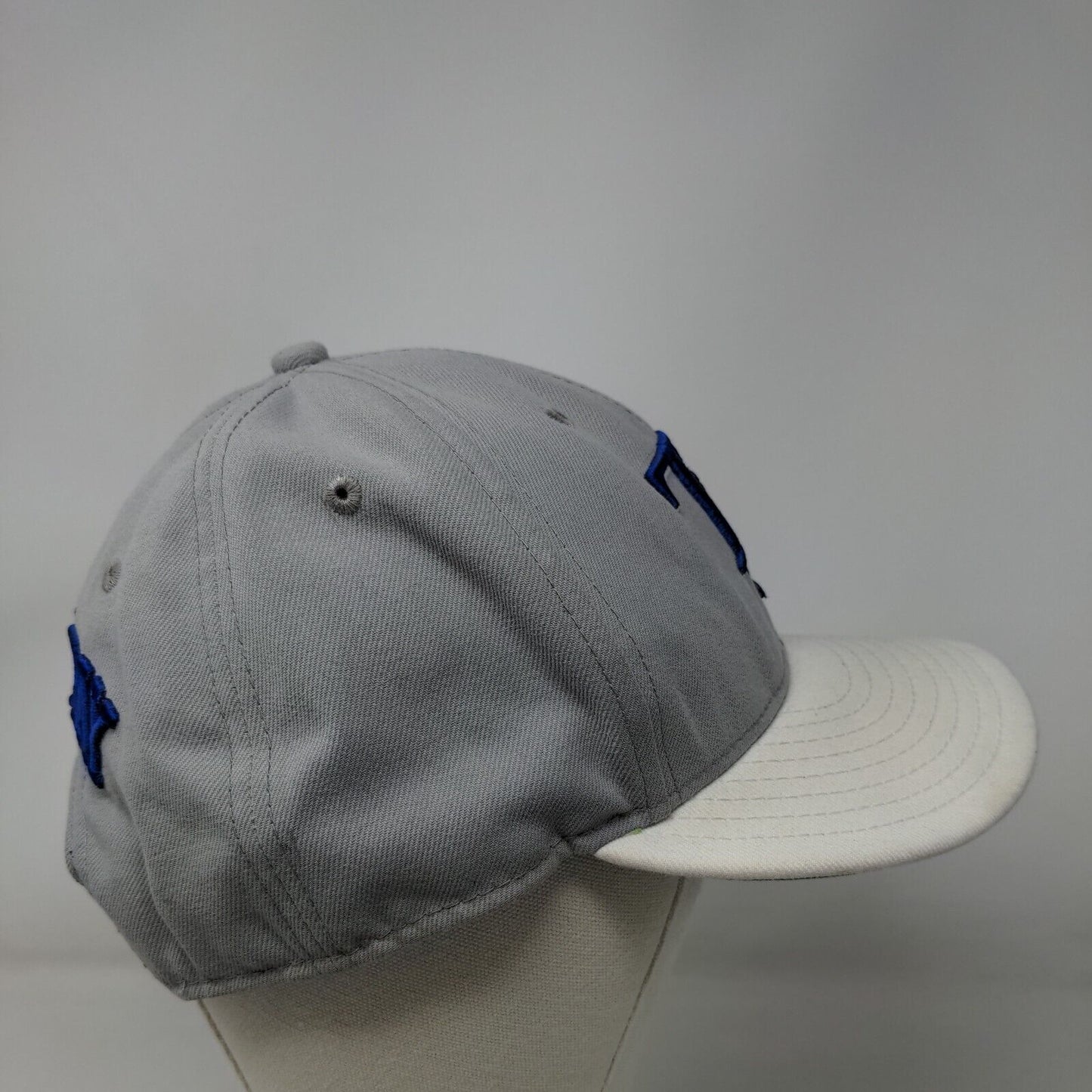 Tampa Bay Rays Snapback Hat Gray New Era 9Fifty Embroidered Logo MLB