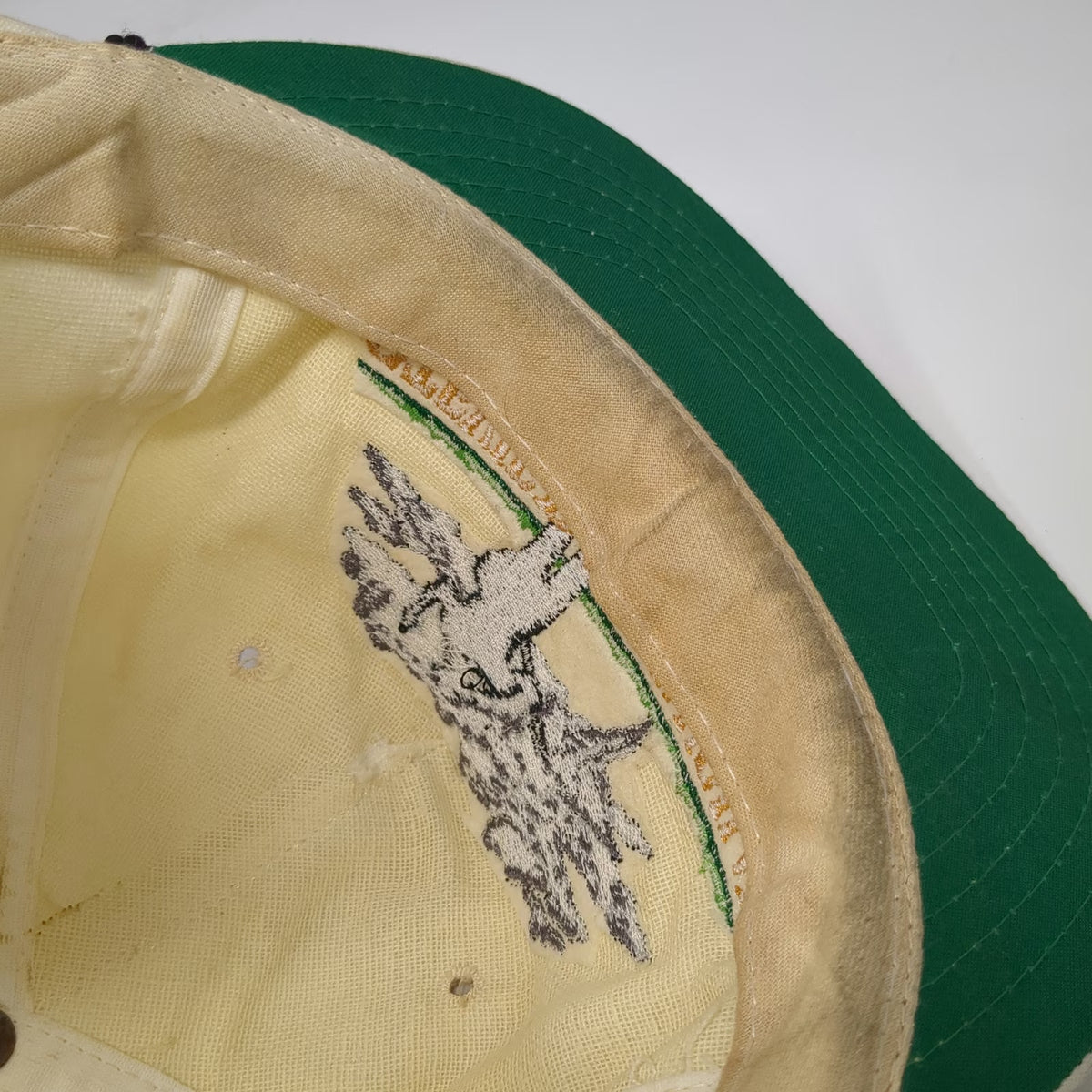 Texace Trucker Beige Stevie Ray Vaughan Double Trouble Guitar Rope Hat Vintage