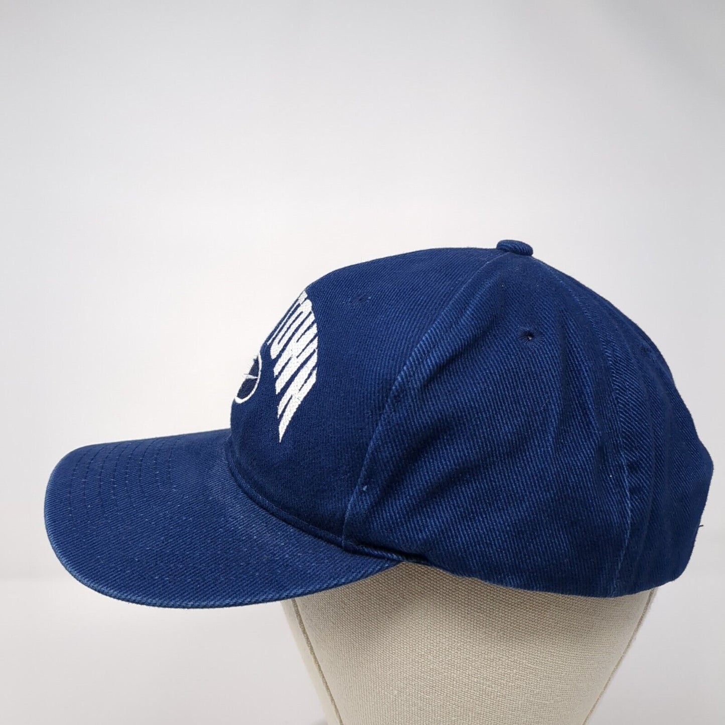 Nike Town Strapback Hat Blue One Size Adjustable USA Swoosh Embroidered