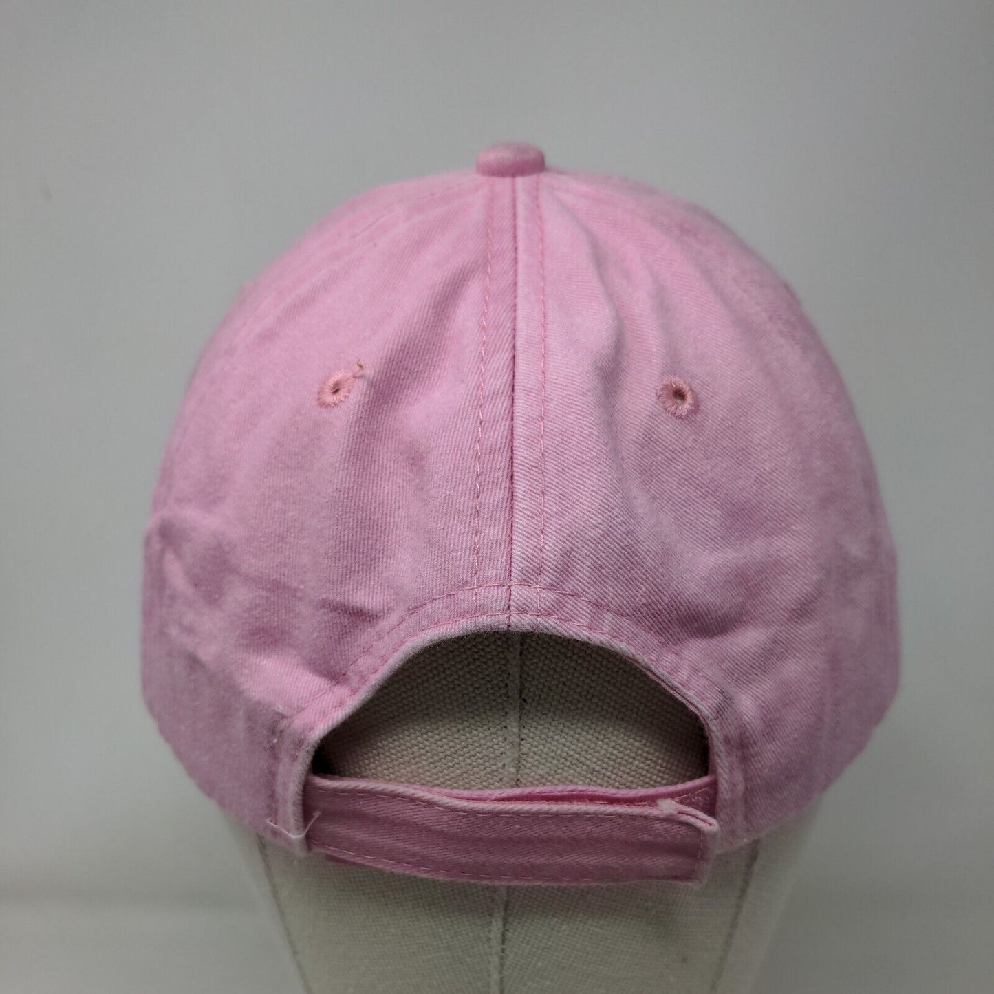 Petosky Michigan Est. 1879 Strapback Hat Pink One Size Adjustbale Embroidered