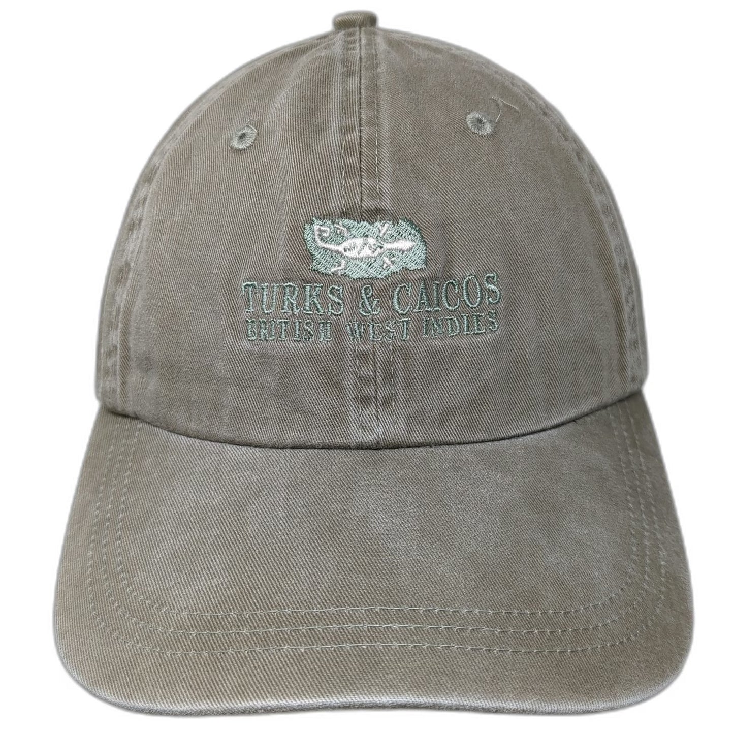 Ahead Baseball Cap Green One Size Turks & Caicos British West Indies Lizard Hat