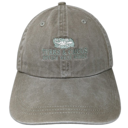Ahead Baseball Cap Green One Size Turks & Caicos British West Indies Lizard Hat