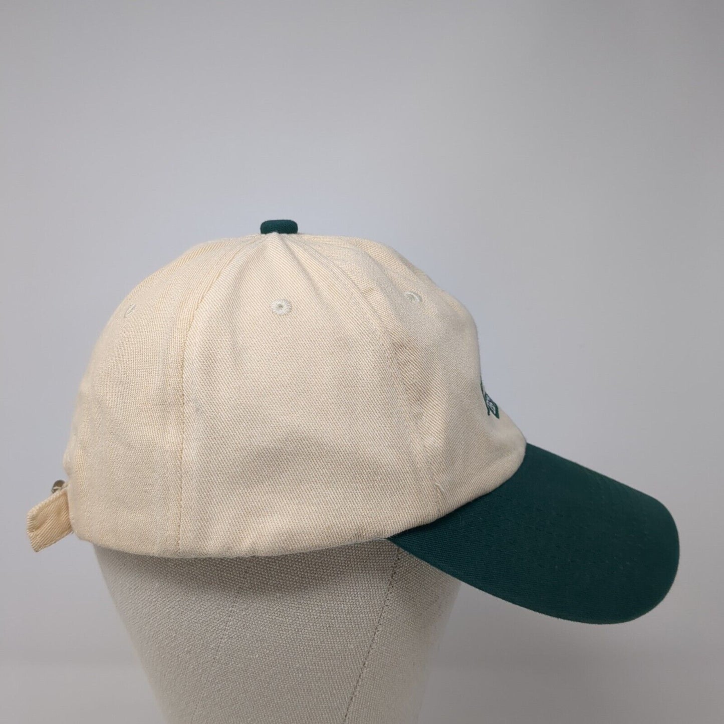 Arizona Est. 1751 Slideback Hat Multicolor One Size Adjustable Embroidered Y&H