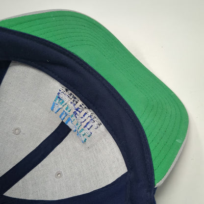 AIRE Inflatable Rafting Logo Blue Gray Snapback Hat One Size Green Underbrim