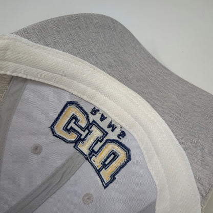 Ahead CIU Rams Hat Baseball Cap Gray One Size Strapback Embroidered Logo Curve