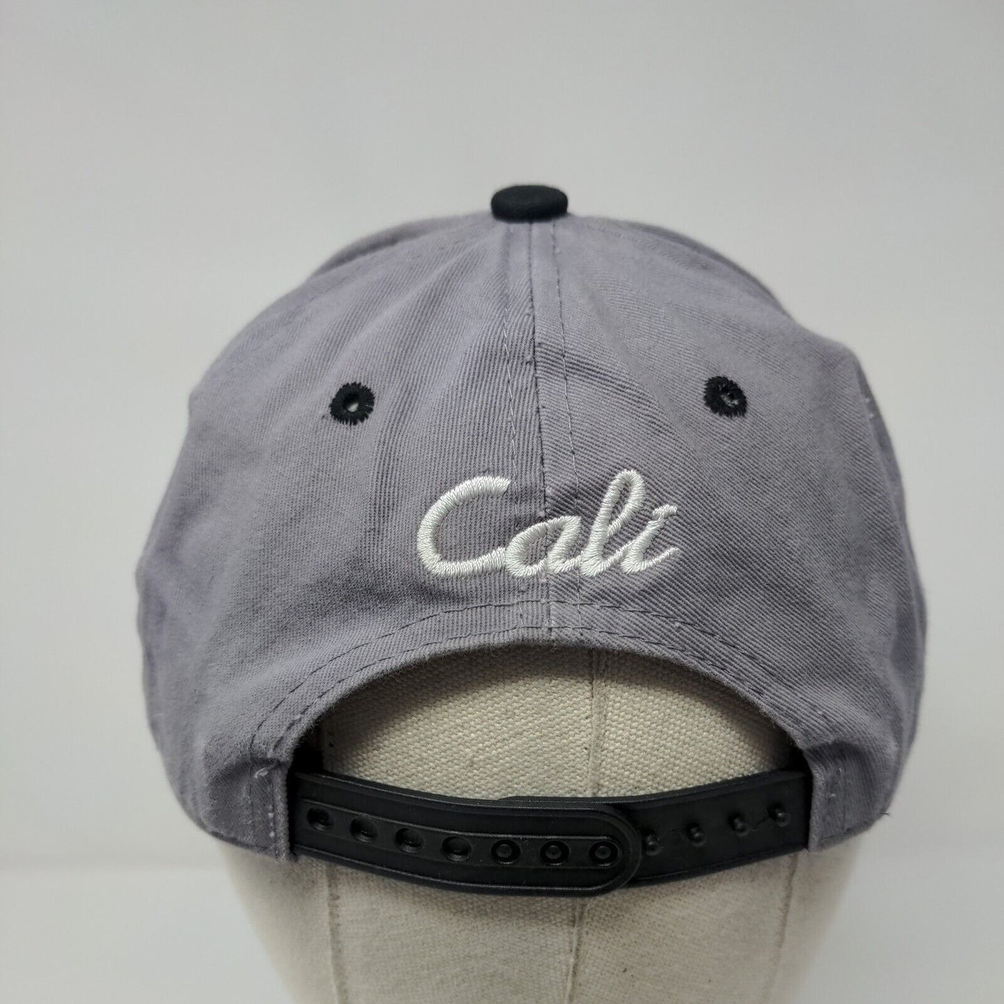 Cali Bear Snapback Hat Gray One Size Adjustable Colorblock Ace Cap Inc