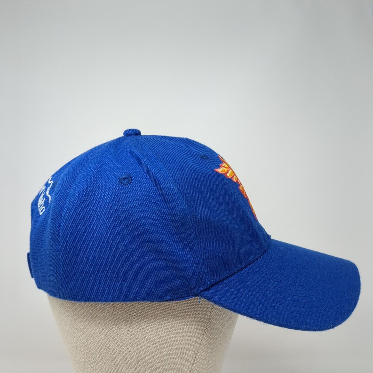 Blue Cross of Idaho Strapback Hat Blue One Size Adjustable Embroidered