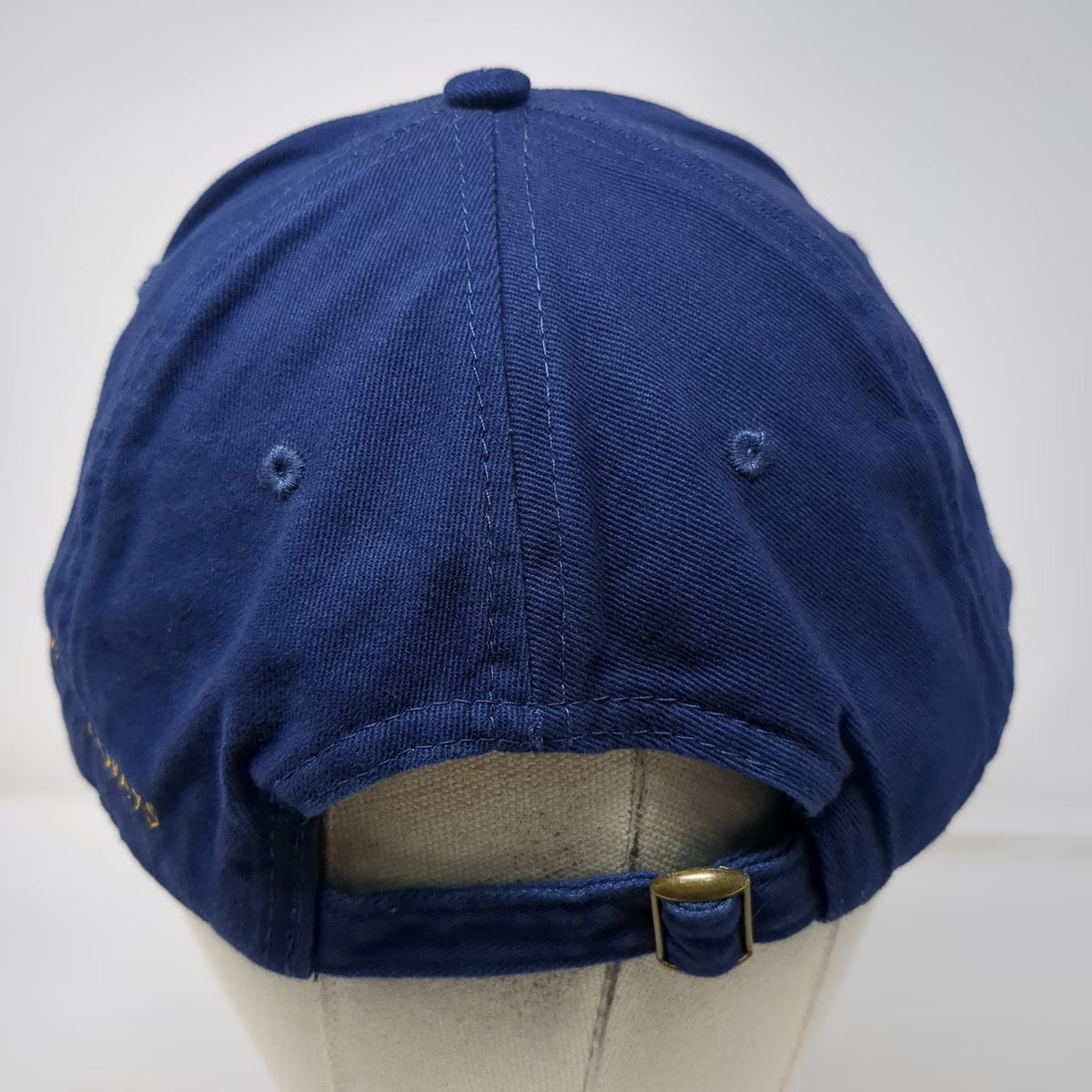 Ama Waterways Gold Crown Baseball Cap Blue One Size Cruise Line Embroidered Hat