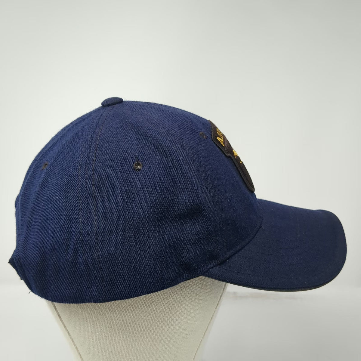 Rapid Dominance 101st Airborne Screaming Eagles Blue Baseball Cap One Size Hat