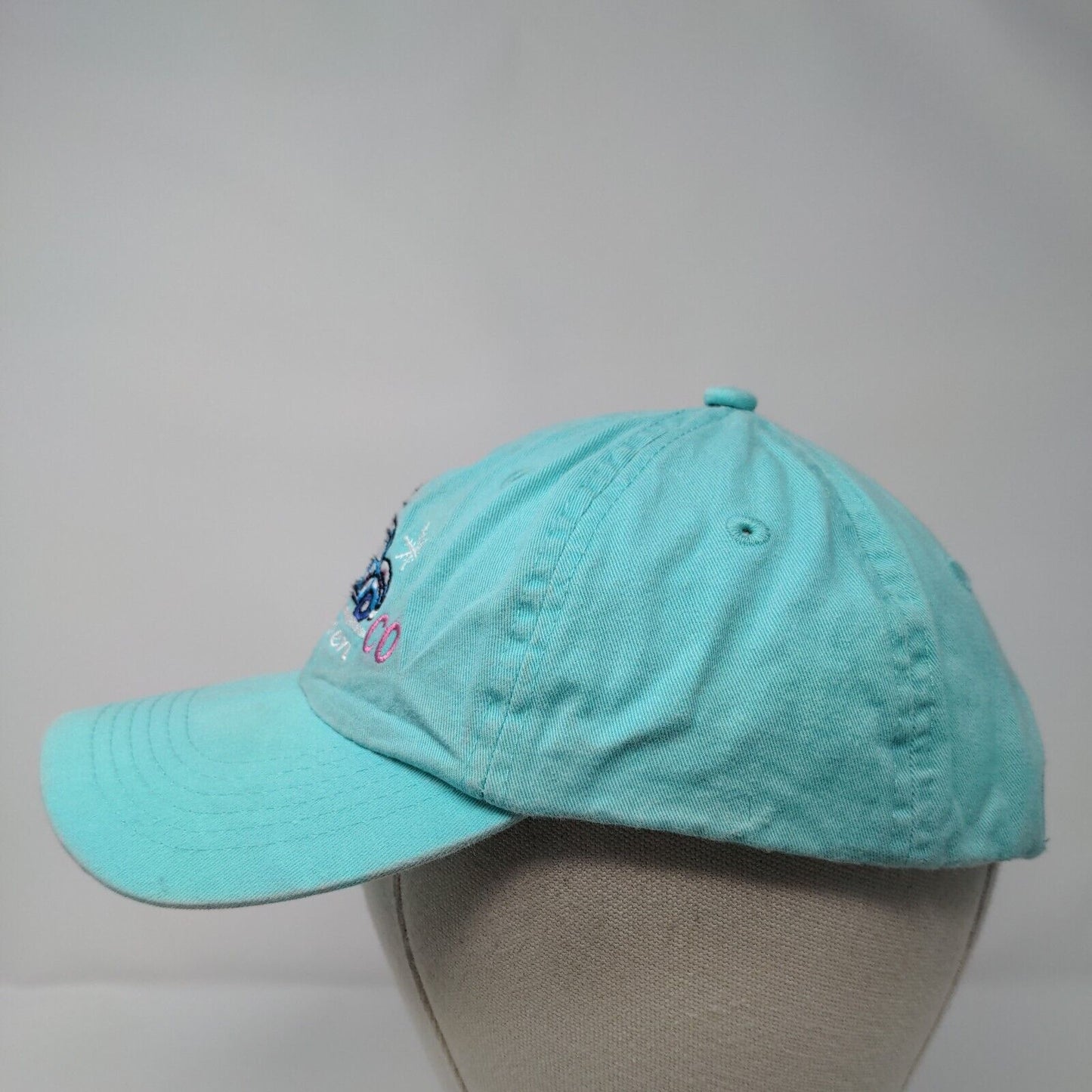 Aspen Colorado Car Strapback Hat Blue OSFA Embroidered Fahrenheit