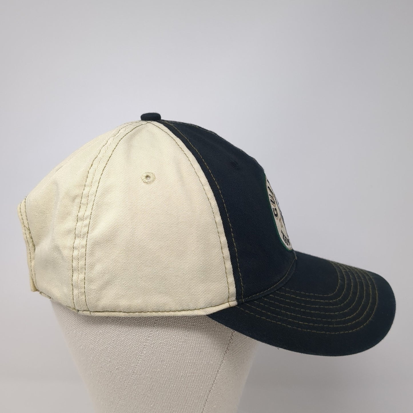 Guinness Keeps Its Head Strapback Hat Multi One Size 6 Panel Colorblock