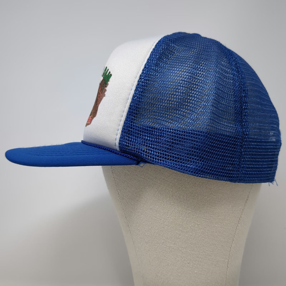 Blue White Hoover Dam Trucker Hat One Size Mesh Snapback Souvenir Arizona Nevada